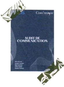 couverture-audit-groupe2