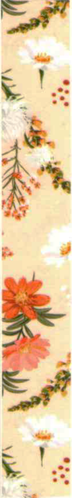 bande fleur de masking tape