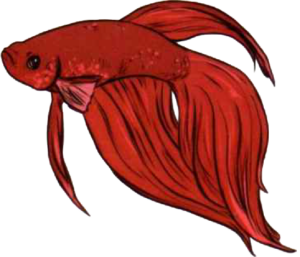 sticker poisson rouge